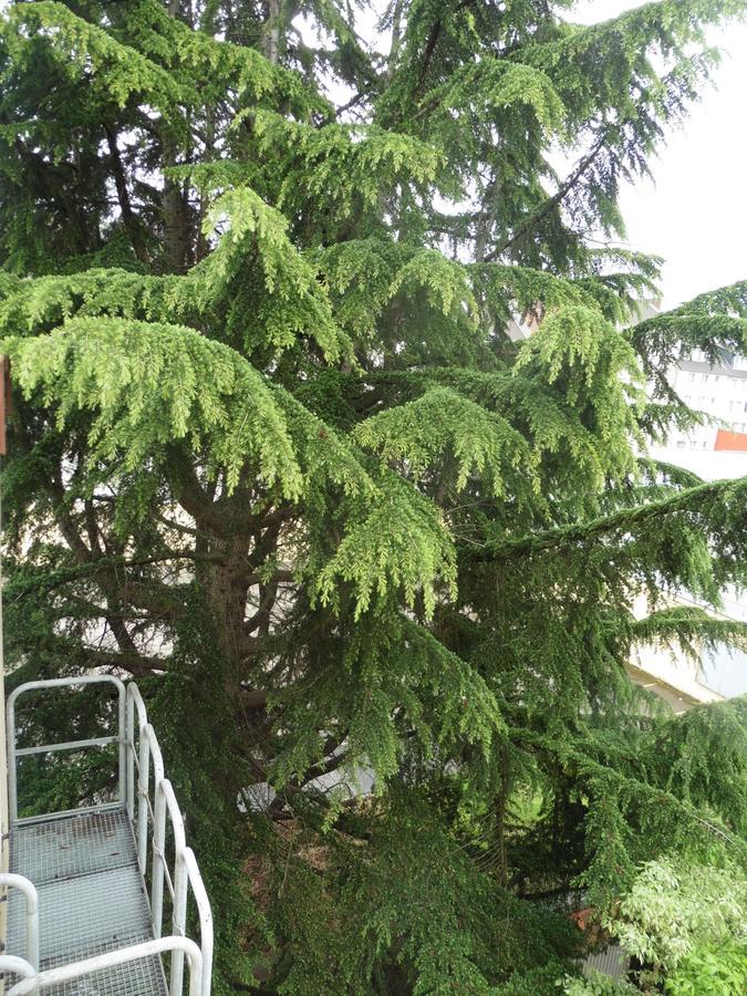 Affittacamere Gaestehaus Grupello 2*
